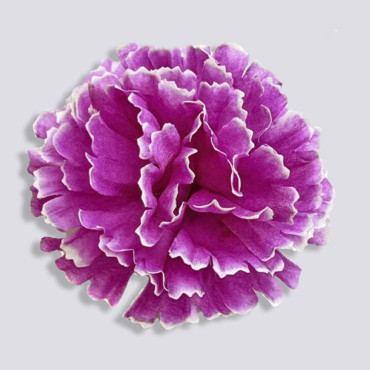 ГК 208 бургунд Гвоздика 9 см