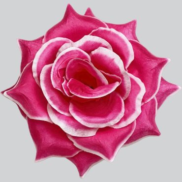 ГК 294 м Роза остролистная 15,5 см 6 слоев