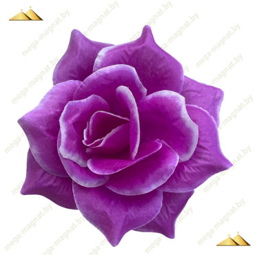 ГК 072-1 бургунд Роза остролистная 13,5 см (ритуал.) (50 шт.)