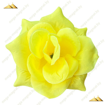 ГК 072-1 ж Роза остролистная 13,5 см (ритуал.) (50 шт.)