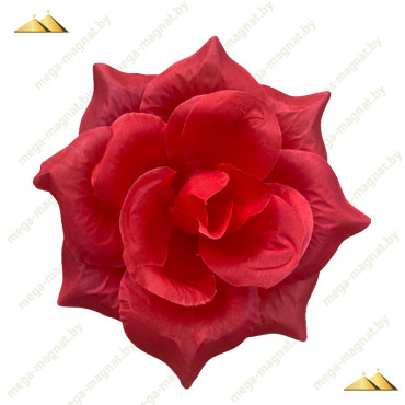 ГК 072-1 к Роза остролистная 13,5 см (ритуал.) (50 шт.)