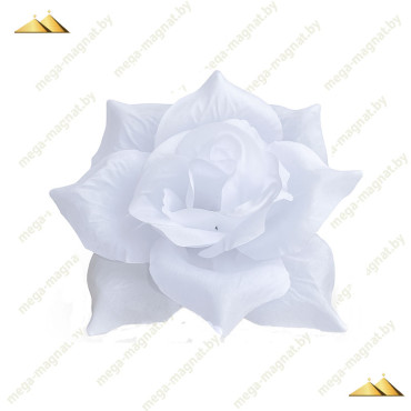 ГК 072-1 б Роза остролистная 13,5 см (ритуал.) (50 шт.)