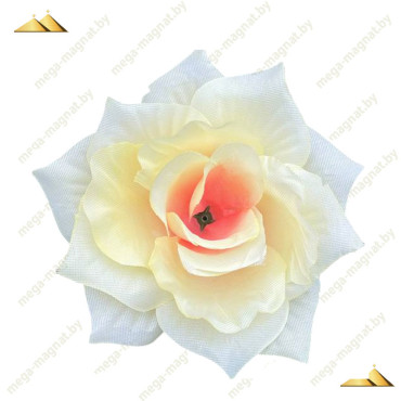 ГК 072 крем-роз роза остролистная 13 см