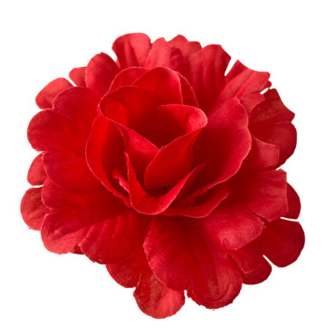 ГК 077 к Роза 12 см