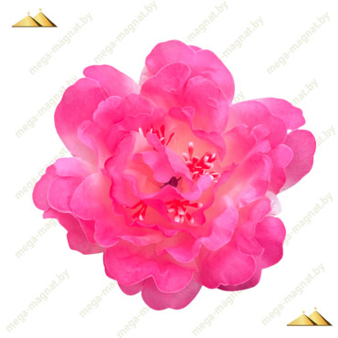 ГК 103-2 бел-мал Пион 13 см