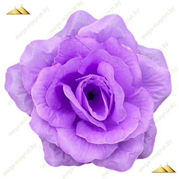 ГК 124 лаванда Роза Кардинал 15 см