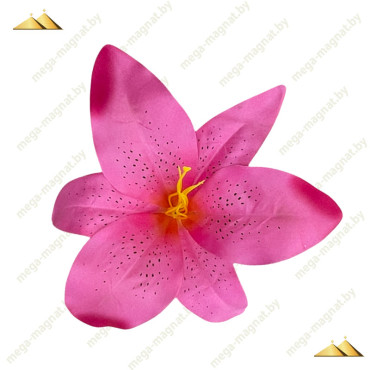 ГК 127 м Комплект лилии тигровой атласной 21 см