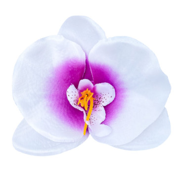 ГК 128 бел-фиол Орхидея 12х10,5 см