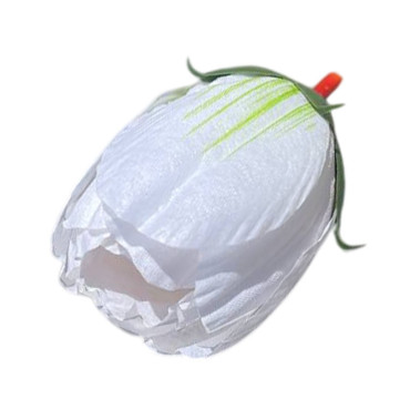 ГК 137-1 б Тюльпан с принтом 8х5 см 