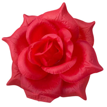 ГК 143-1 к Роза остролистная 18 см                 