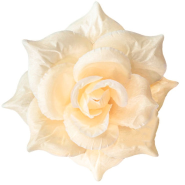 ГК 143-1 пудровый Роза остролистная 18 см  