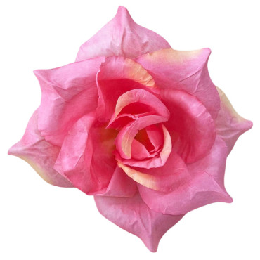 ГК 143-1 роз Роза остролистная 18 см