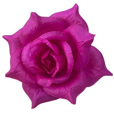 ГК 143-1 сирень Роза остролистная 18 см                 