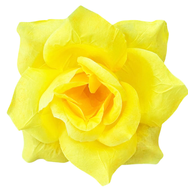 ГК 143-1 Роза остролистная 18 см ГК 143-1 Роза остролистная 18 см