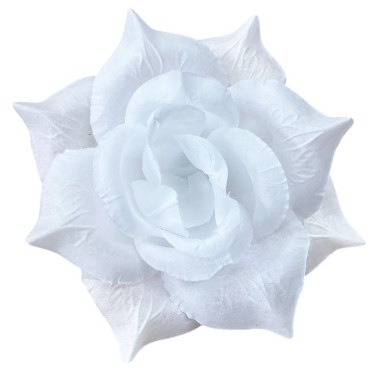 ГК 143-1 б Роза остролистная 18 см                 