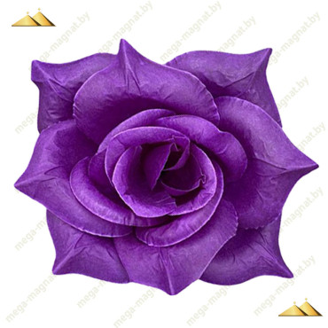 ГК 143-1 чернильн Роза остролистная 18 см        