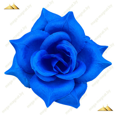 ГК 143-1 синий Роза остролистная 18 см        