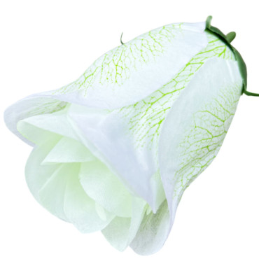 ГК 144-1 б Бутон розы с принтом 10 см