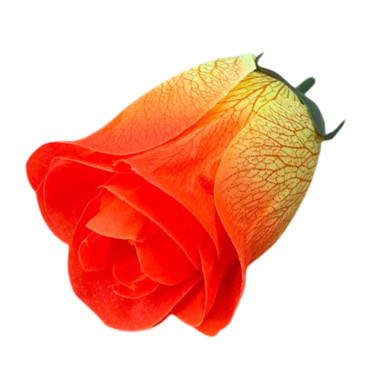 ГК 144-1 о Бутон розы с принтом 10 см