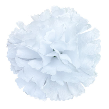 ГК 208 б Гвоздика 9 см