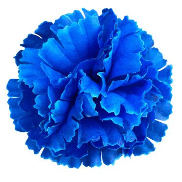 ГК 209 с Гвоздика 10,5 см