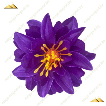 ГК 223 чернильн Лотос декоративный 12,5 см