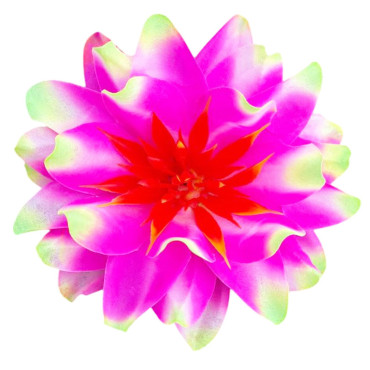 ГК 223 мал-салат Лотос декоративный 12,5 см