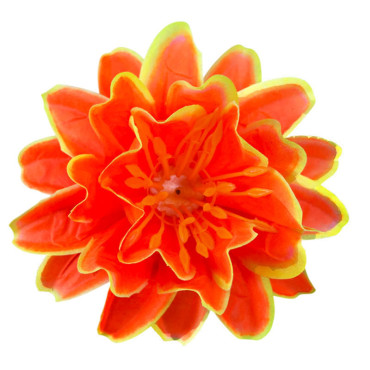 ГК 223 о-ж Лотос декоративный 12,5 см