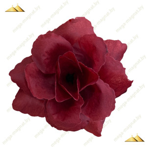 ГК 239-1 бордо Роза ...