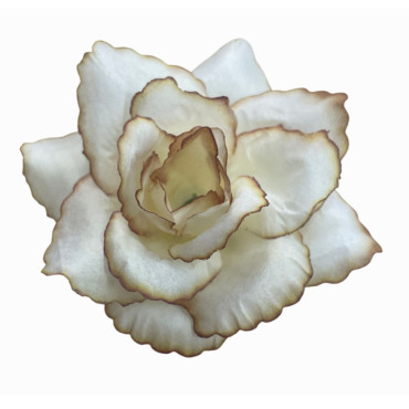 ГК 239-1 латте Роза декоративная Фламинго четырехслойная 10 см