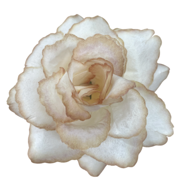 ГК 239 латте Роза декоративная Фламинго 11 см