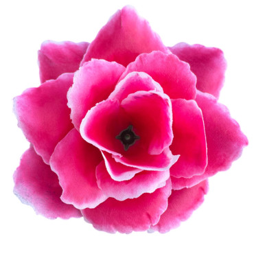 ГК 239 м Роза декоративная Фламинго 11 см