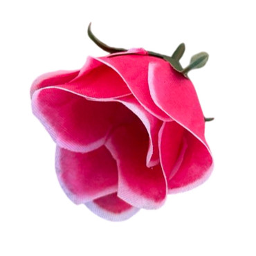 ГК 243 м Роза бутон 6х4