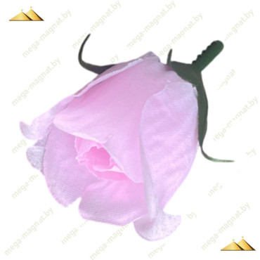 ГК 243 бел-роз Роза бутон 6х4