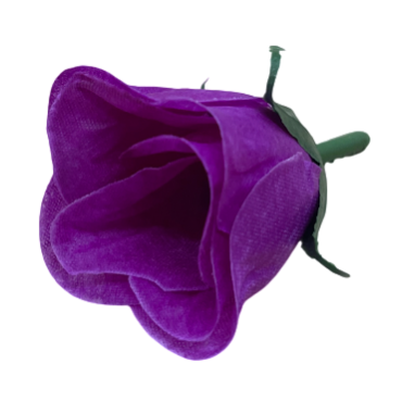 ГК 243 бургунд Роза бутон 6х4