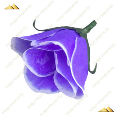 ГК 243 ф Роза бутон 6х4