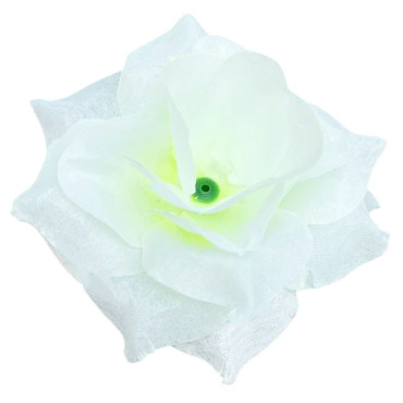 ГК 280 мол Роза остролистная 10 см          