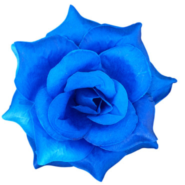 ГК 294 с Роза остролистная 15,5 см 6 слоев