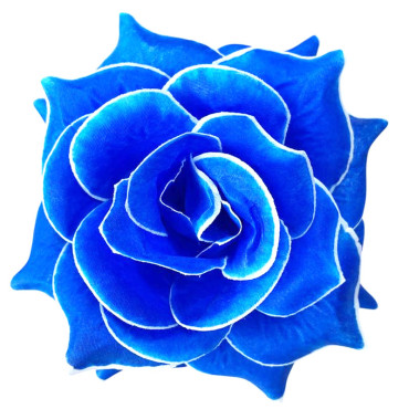 ГК 294 с-б Роза остролистная 15,5 см 6 слоев