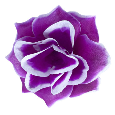 ГК 280 бургунд Роза остролистная 10 см