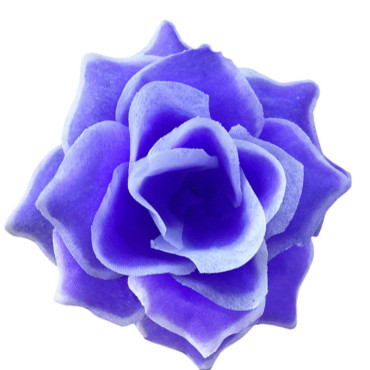 ГК 280 ф Роза остролистная 10 см          