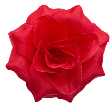 ГК 280 к Роза остролистная 10 см