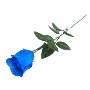 С 12 синий Роза Буто...