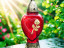 Сердце 350 Сердце 350