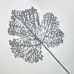 ЗК 019 сер Лист клен...