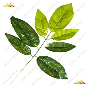 ЗК 064-1 Ветка манго...